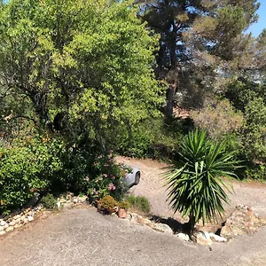 Grand Studio Avec Piscine Et Vue Panoramique Vallauris